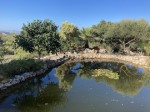 pond of Nea Gi garden
